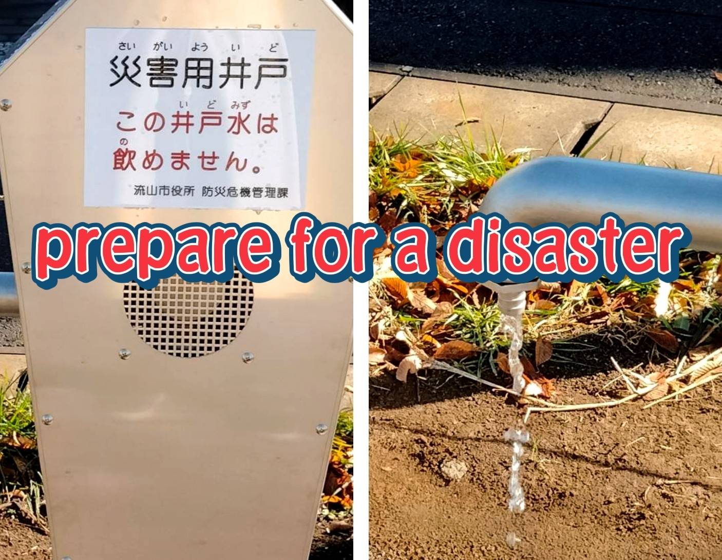 公園から見る防災対策