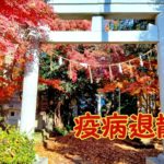 流山の隠れスポット「天形星神社」に行ってきた
