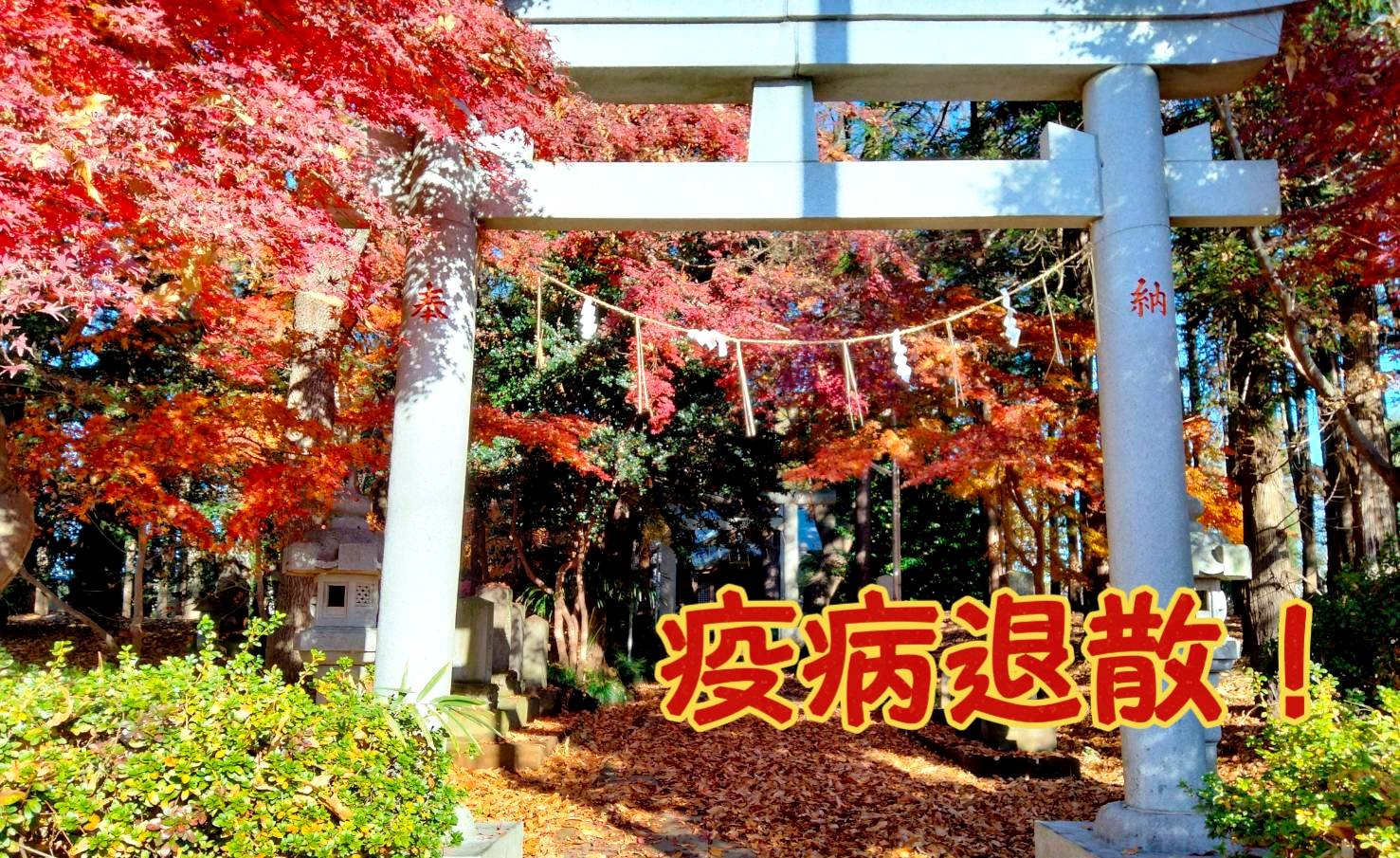 流山の隠れスポット「天形星神社」に行ってきた