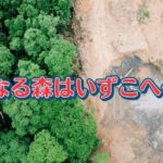 統計資料から見る流山市の森林について