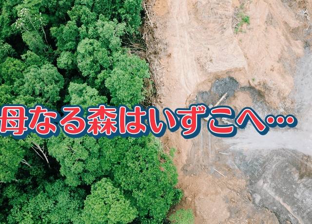 統計資料から見る流山市の森林について