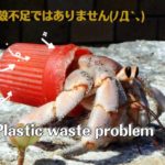 （4/1～）流山のごみが指定袋になるから持っていってくれない件