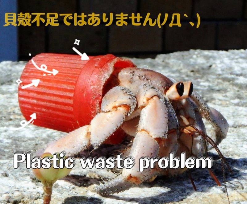 （4/1～）流山のごみが指定袋になるから持っていってくれない件