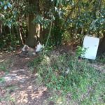 景観維持活動 三輪野山/古間木/流山