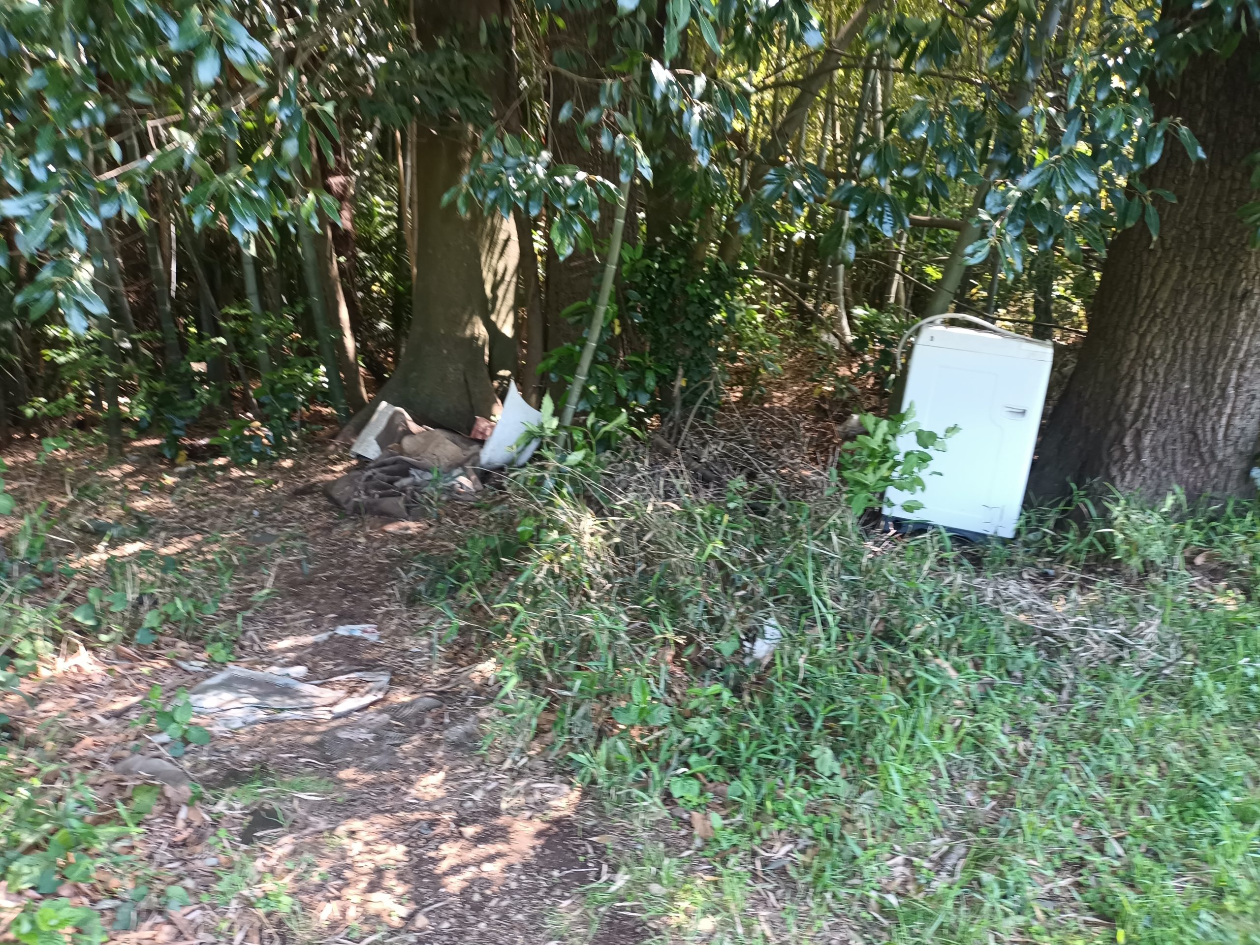 景観維持活動 三輪野山/古間木/流山